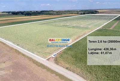Teren agricol extravilan 2.6 ha - 26.000 mp - Valcelele, Buzau