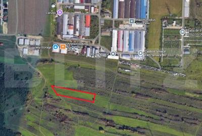 Teren de 4000 mp, în Luna - 1