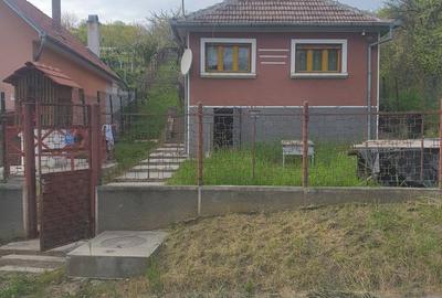 Casă cu 4 camere cu Teren 2000 Mp în Oșorhei - 1