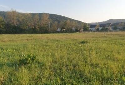 5200 sau 2600 mp teren vanzare,direct proprietar, parcelabil, apropiere Arinis - 10