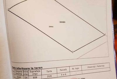 Teren de 608 mp, în Frumușani - 6