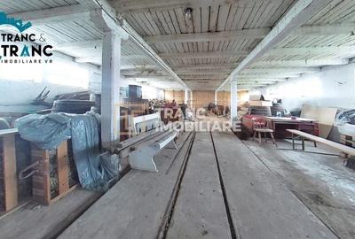 Spațiu industrial, de 619 mp, în Zăbrani - 3