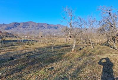 Spațiu comercial, în Corbșori - 2