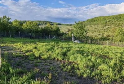 Teren de 1000 mp, în Central