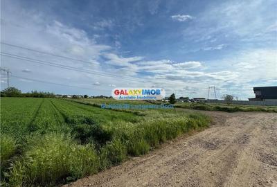 Teren intravilan 1622mp, Lidl Berceni, Utilitati Gaz Electric, 50E mp Teren intravilan 1622mp, Lidl Berceni, Utilitati Gaz Electric, 50E mp - 7