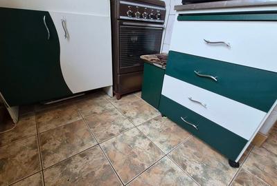 Garsonieră semidecomandată în Beba Veche - 4