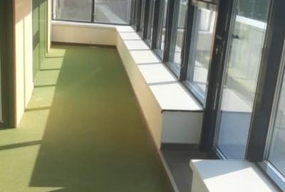 2 spatii de inchiriat - 9