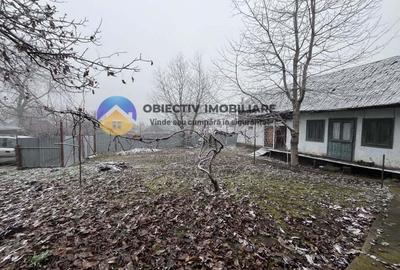 Casă cu 2 camere cu Teren 3054 Mp în Negrești (Dobreni) - 7
