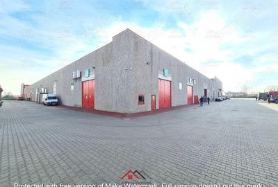 Hale noi in Baicoi, Ph--13.000mp--3e - 5