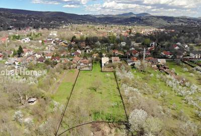 4898 MP Teren Intravilan | Prahova - Cornu De Jos | Toate Ut - 7