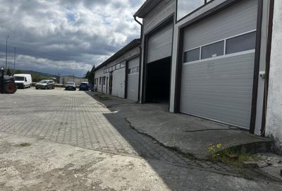 Teren Construcții intravilan de 4077 mp, în Bărăbanț - 16