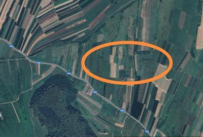Teren extravilan pretabil cabana in zona panoramica Poplaca judet Sibiu - 2