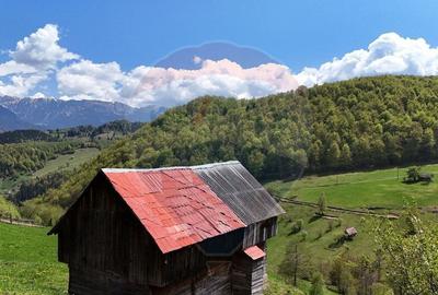 Teren de 5694 mp, în Moieciu - 10
