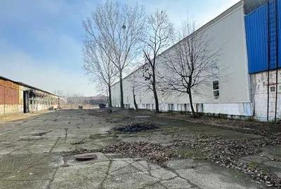 Vanzare/inchiriere 1-3 HALE si 1 cladire BIROURI, zona industriala mun. VASLUI - 14