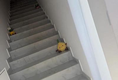 Casă cu 2 camere cu Teren 60 Mp în Bragadiru - 3