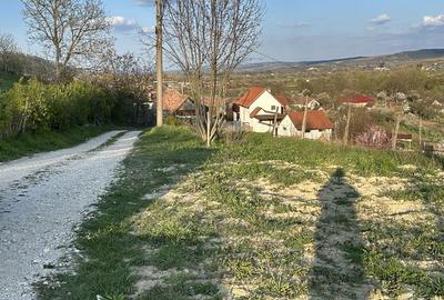 Teren de 736 mp, în Central - 8
