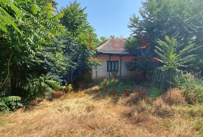 Teren de 4300 mp, în Mineri - 2