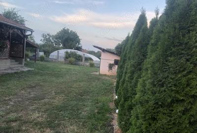 Casă cu 6 camere în Macea - 1