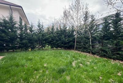 Vila individuala cu 5 camere Otopeni - 2