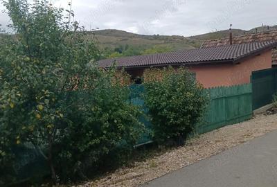 Casă cu 2 camere în Gădălin - 3