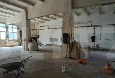 Spatiu industrial, hale in Unirea - 5