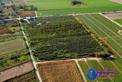 Teren de 44999 mp, în Sabangia - 18