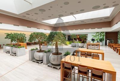 READY TO MOVE IN SPATIU 493.59 MP  | COMPLET FINISAT | PLATINUM BUSINESS CENTER - 5