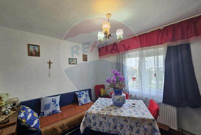 Apartament de vanzare in Cotu Mic - 3