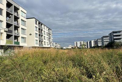 Titan -Policolor - str. Drum Gura Putnei - 2500 mp - 8