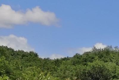 Vanzare Casa cu acces direct la padure in Valea Cucului, Comuna Iordacheanu - 13