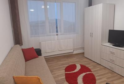 Garsonieră nedecomandată în Podu Roș - 3