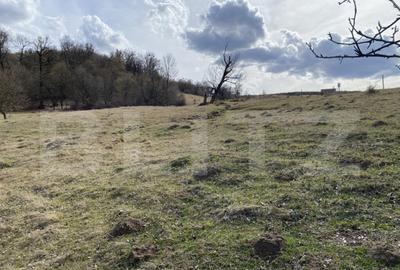 Teren extravilan in suprafata de 7500 mp la poalele Mesesulu - 7