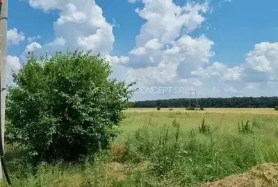 Terenuri pentru Cartier Rezidențial | 429 mp / Lot | Zonă Dezvoltare - 4