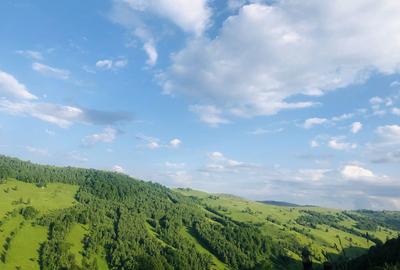 Teren de 120000 mp, în Baciu - 2