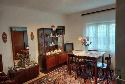 Casa batraneasca bine intretinuta in Bahna - 4