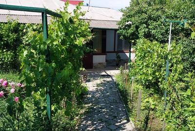 Gorneni, pe DN6/E70 1.600 mp, casa la sosea langa Bucuresti - 9