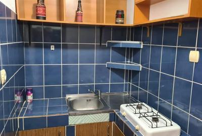 Garsoniera Spatioasa zona Blascovici - 18