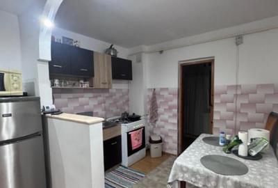 Apartament mobilat si utilat, etaj intermediar, Siret - 9