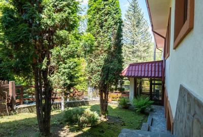 Oferta - vanzare pensiune 10 camere si casa de vacanta, Slanic Prahova - 38