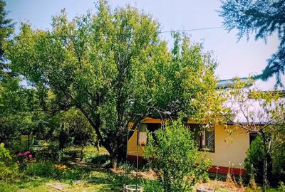 Duplex cu 5 camere cu Canalizare în Cunești - 4