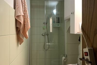 Apartament cu 2 camere semidecomandat în Dosu Bricii - 2