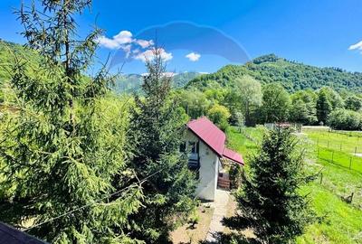 Pensiune + Vila pe malul raului Lotru-Malaia,Valcea - 18