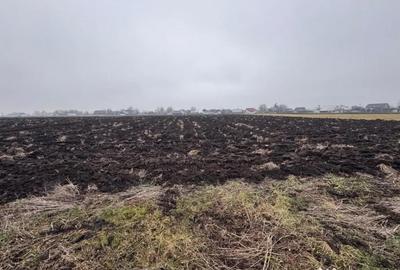 Teren de 3800 mp, în Frătăuții Vechi - 1