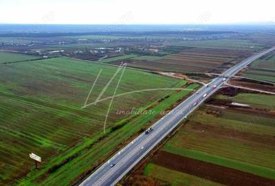 Teren intravilan curti-constructii, industrial, Autostrada A1 - km 62 - 11