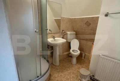 Casa de inchiriat, 10 camere, 300 mp, zona Spitalul Judetean - 7