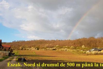 Teren de 700 mp, în Budiu Mic - 3