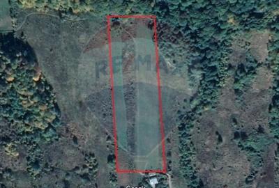 Teren 11,935mp Margineni / Strada Dubas - 5