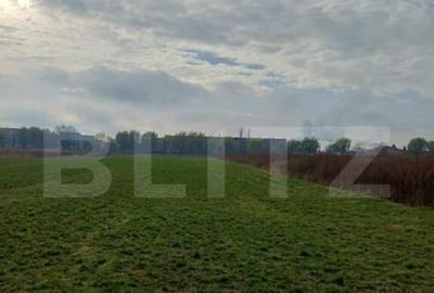 Teren extravilan, 3800 mp, Turda - 2