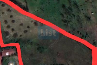 Teren de 5268 mp, în Baia Sprie - 2