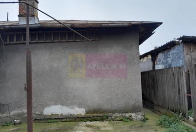 Branesti / IF - casa batraneasca din caramida cu teren de vanzare - 38